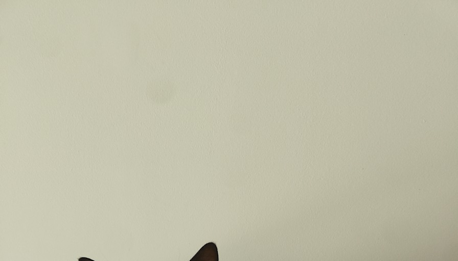 Sam