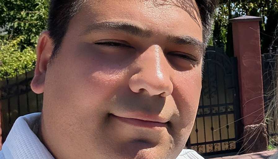 DAVID ION