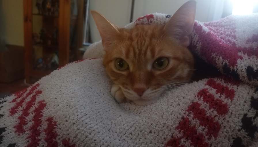 Cristina