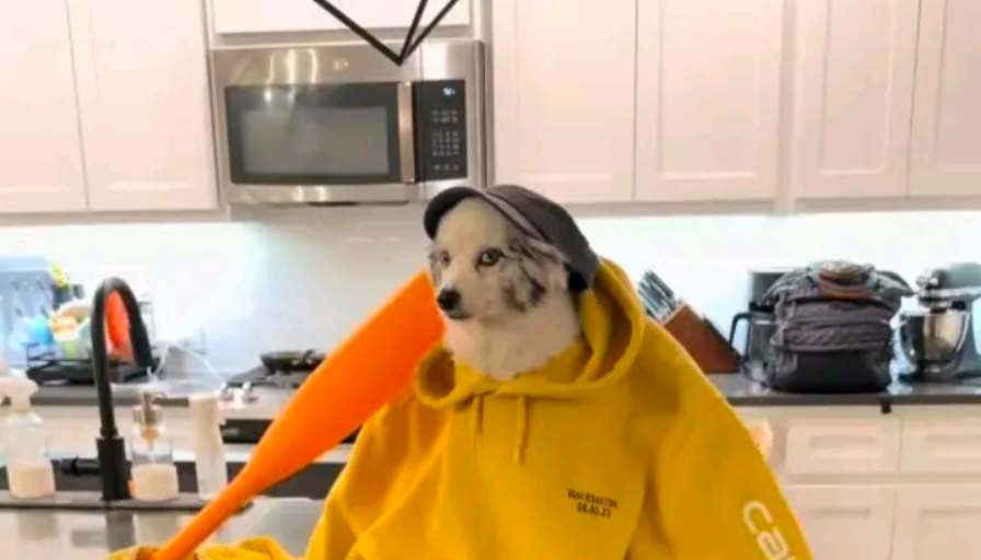 Vee