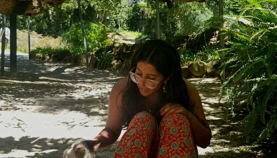 krithi