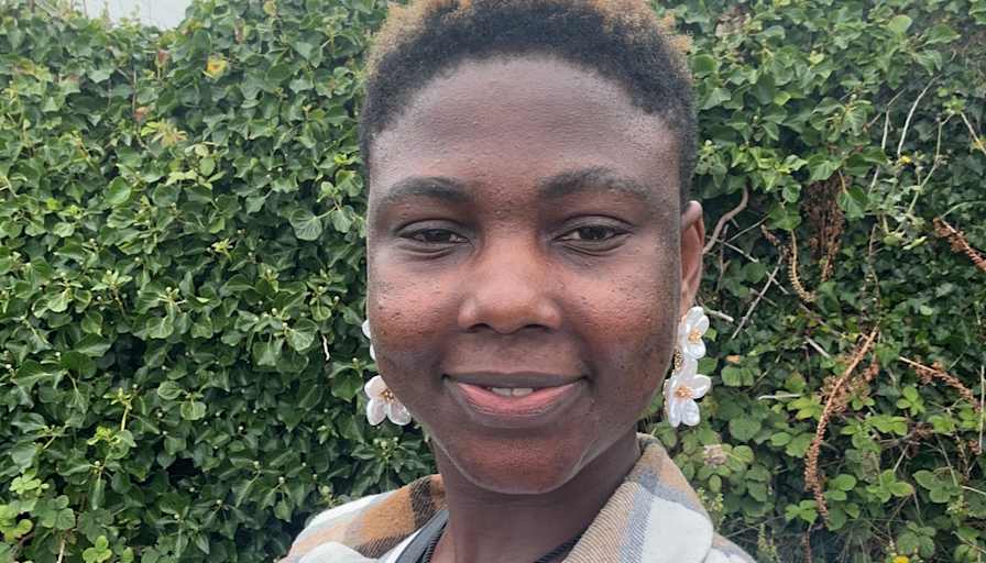 Sule Areremi