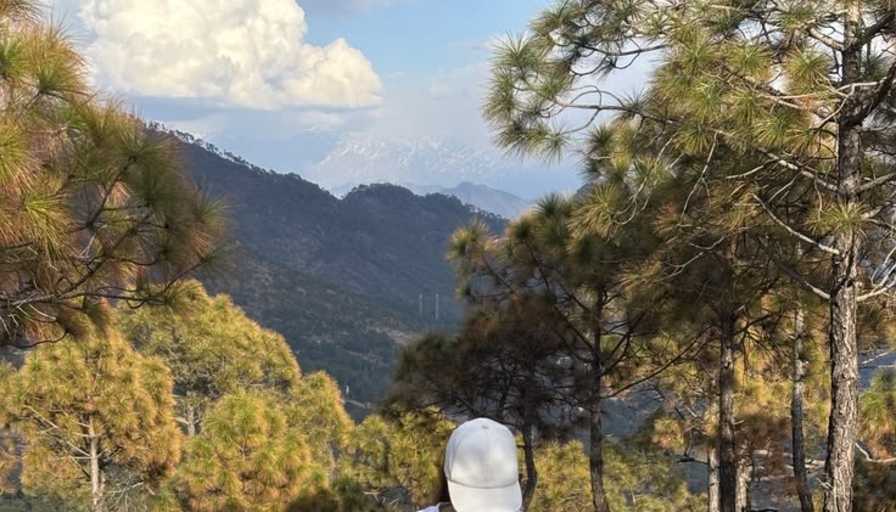 Alemtsehay