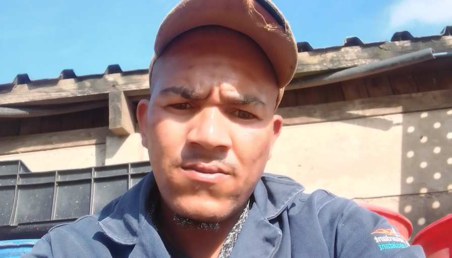 Elrico