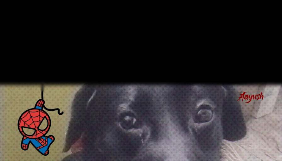Aayush