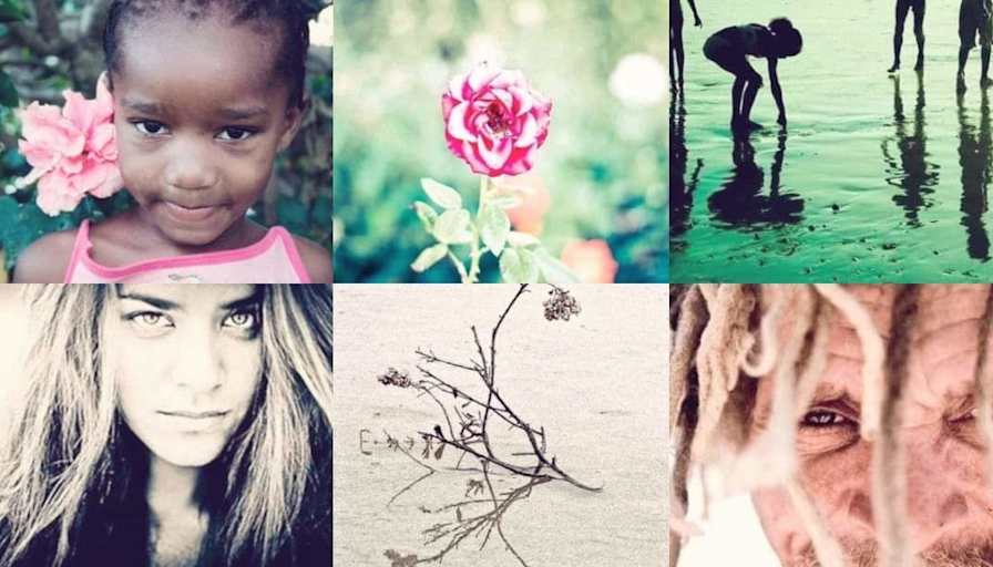 Candice Dorman