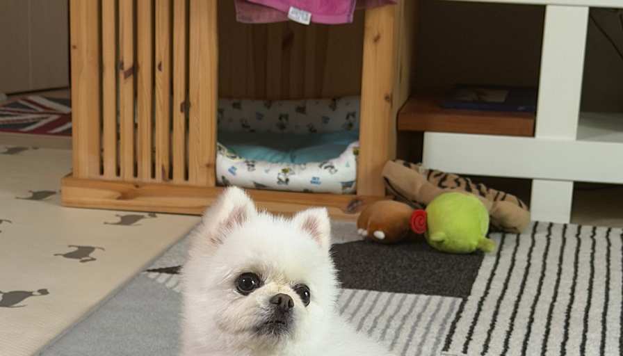 HyunJoo