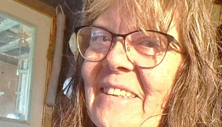 Lisa Judge