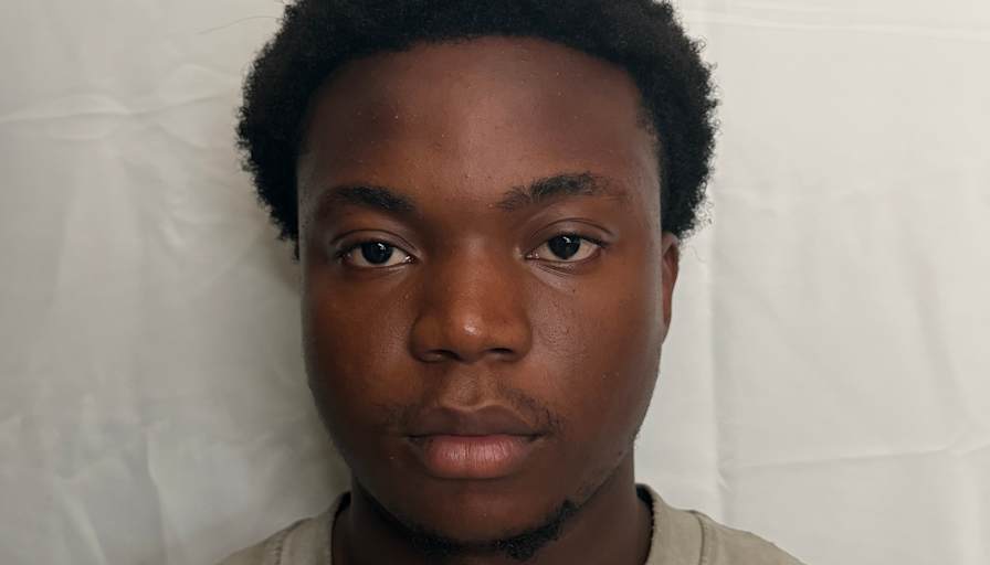 Gabriel Olisa