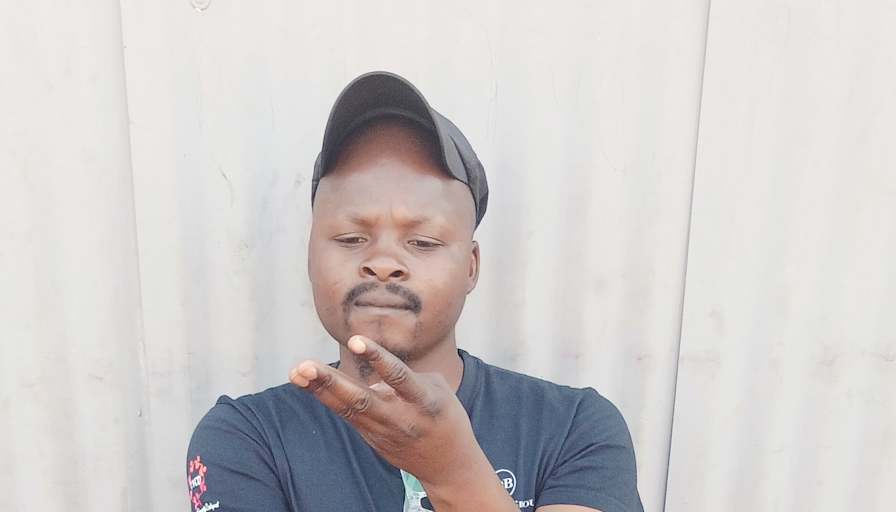 mbedzi vincent vuledzani