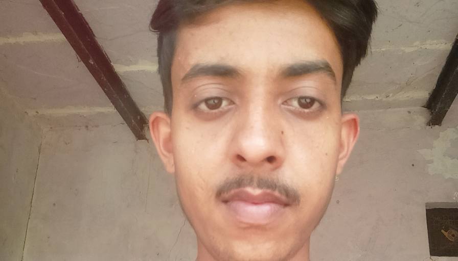 Nirbhay Tomar