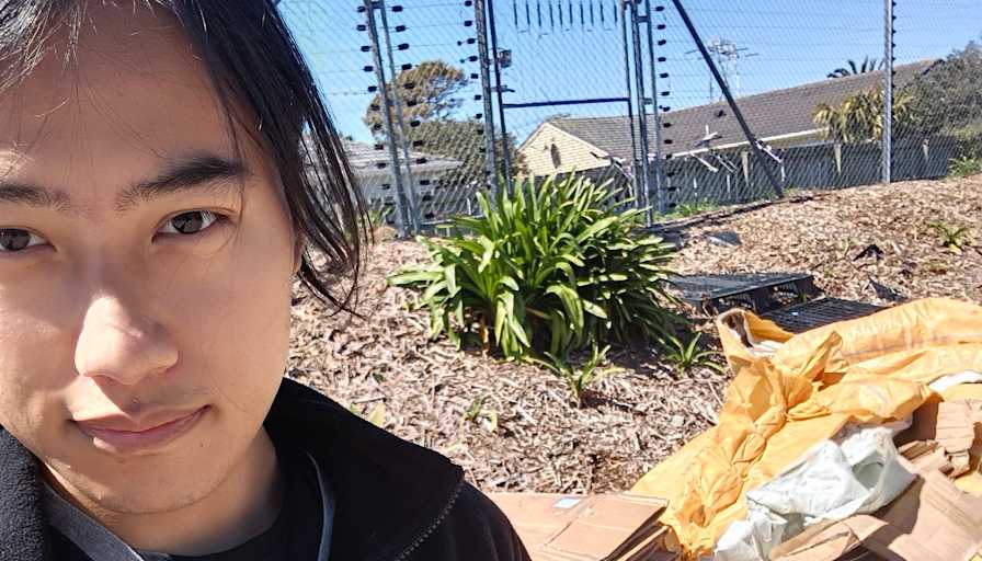 Yang