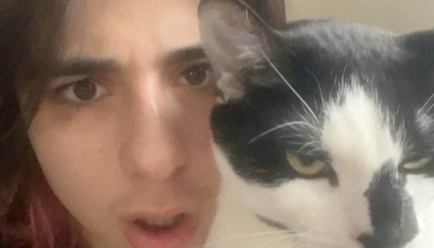 din