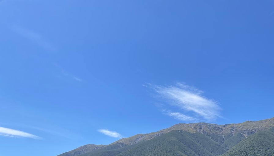 Yamile