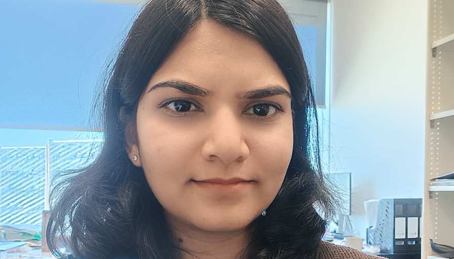 Sonal Fande