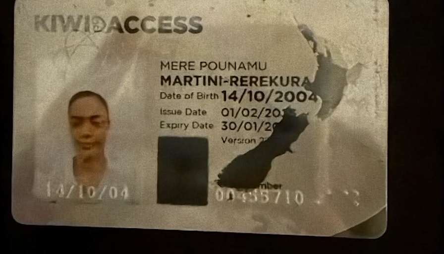 Merepounamu