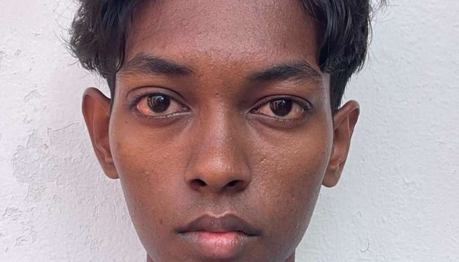 Vijay