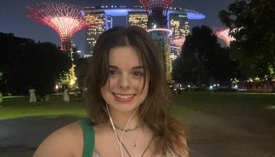 Insa