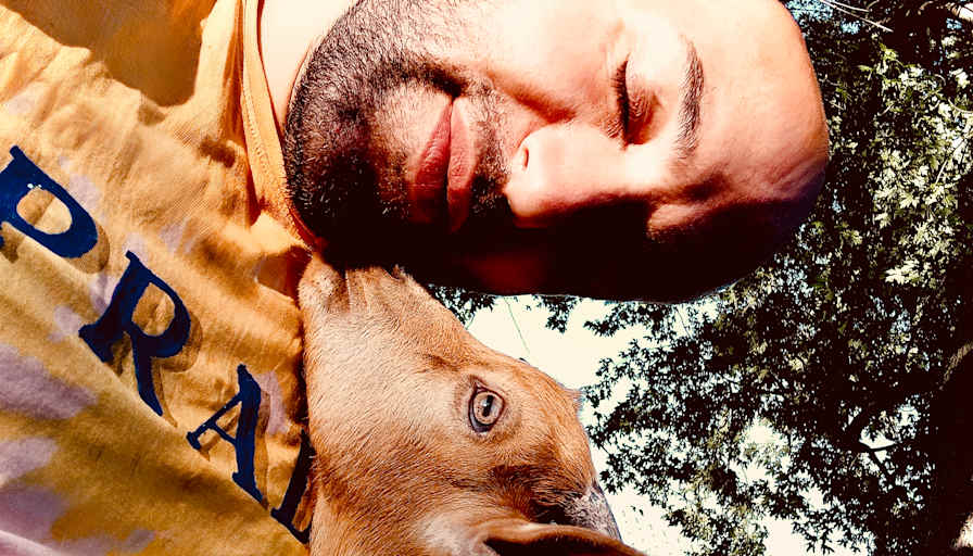 Rami