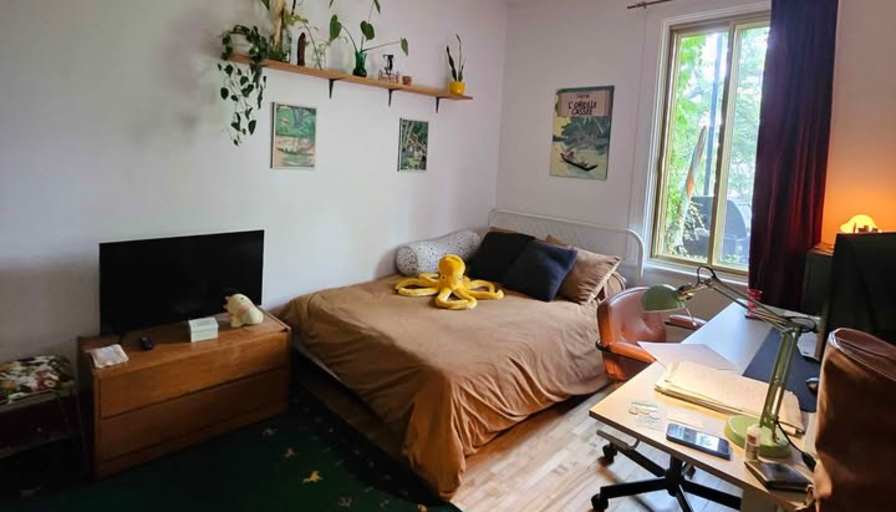 Unfurnished room in an apartment — photo 1