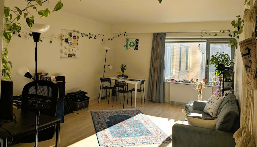 Furnished room in an apartment — photo 1