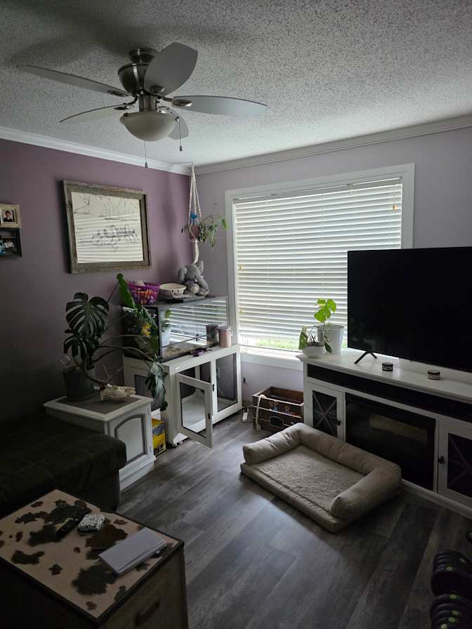 Sarah's room