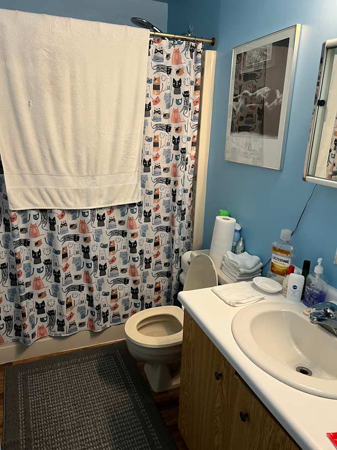 Rodrick's room