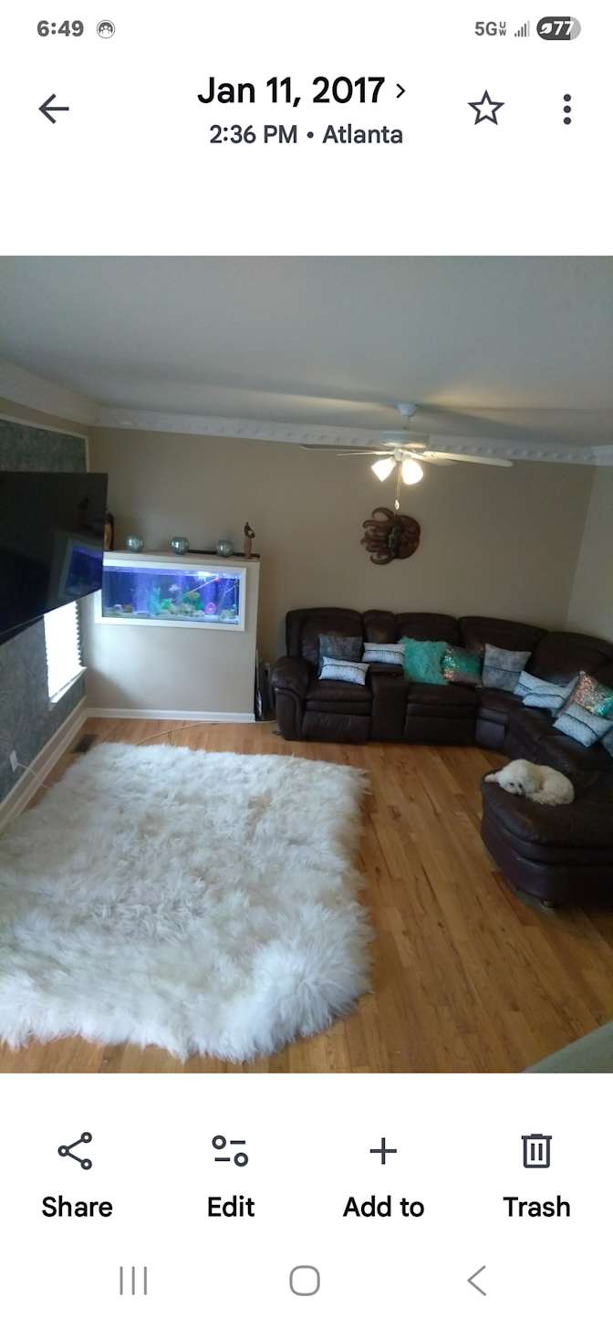 Bee's room