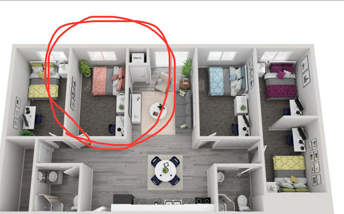 Serour's room