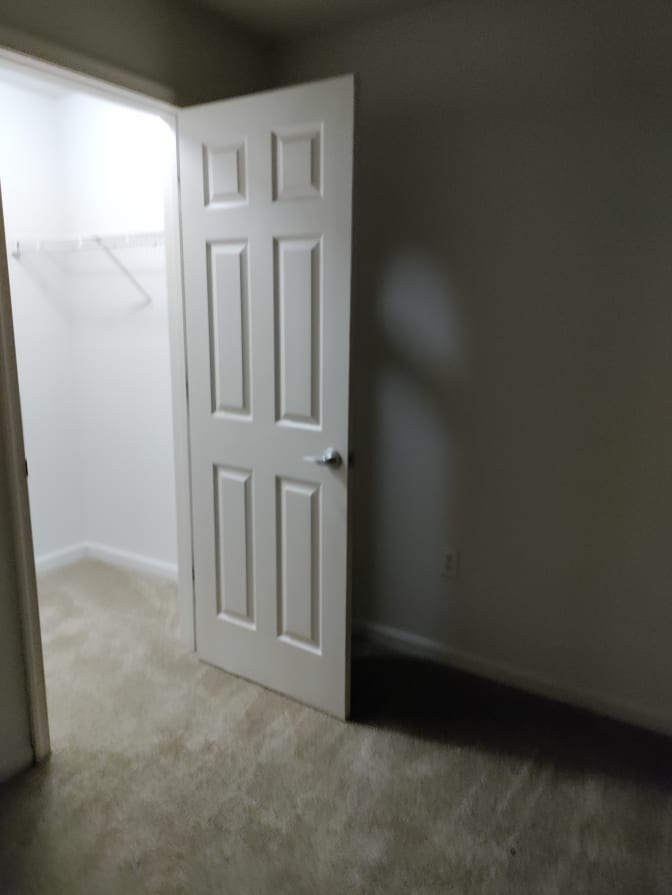 Luz's room