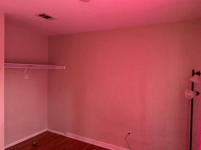 Belle's room