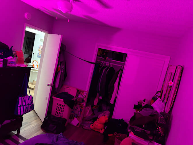 Paul's room