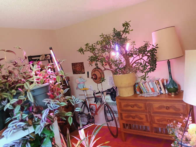 Joao's room