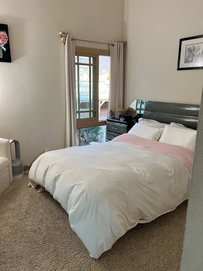 Mary's room