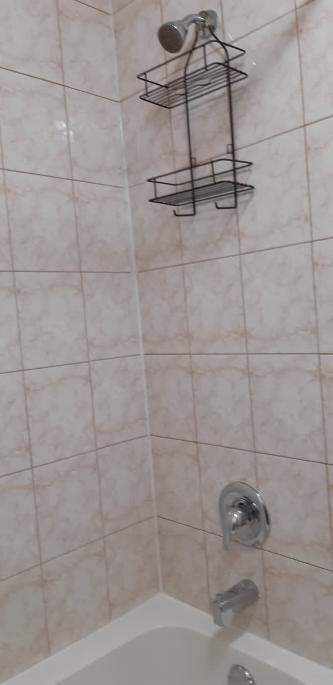 Shaheen's room