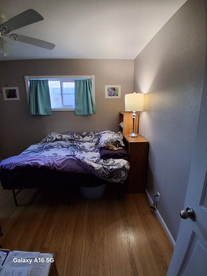 Laurie Drew's room