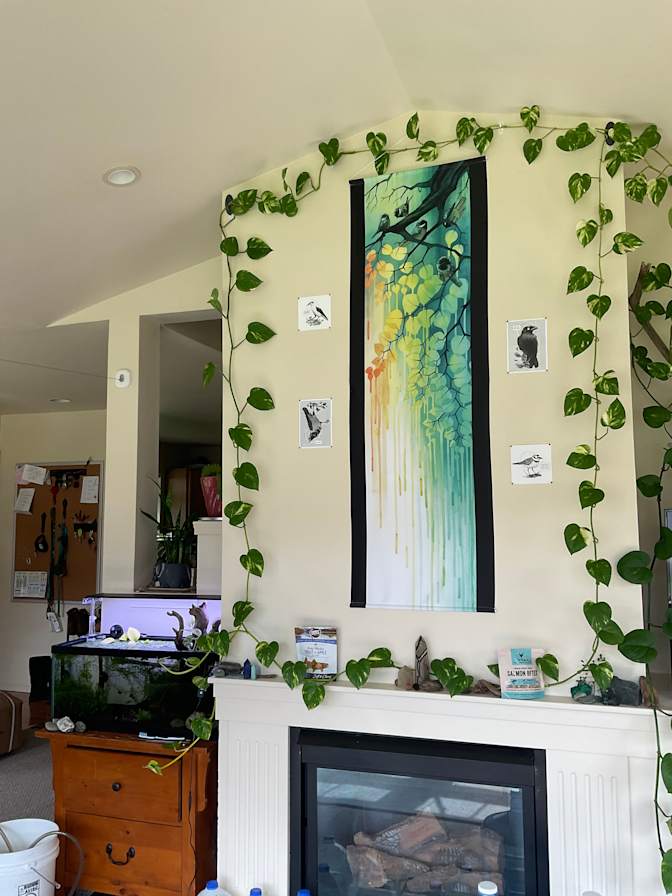 Alex's room