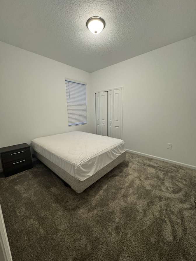 shawna's room