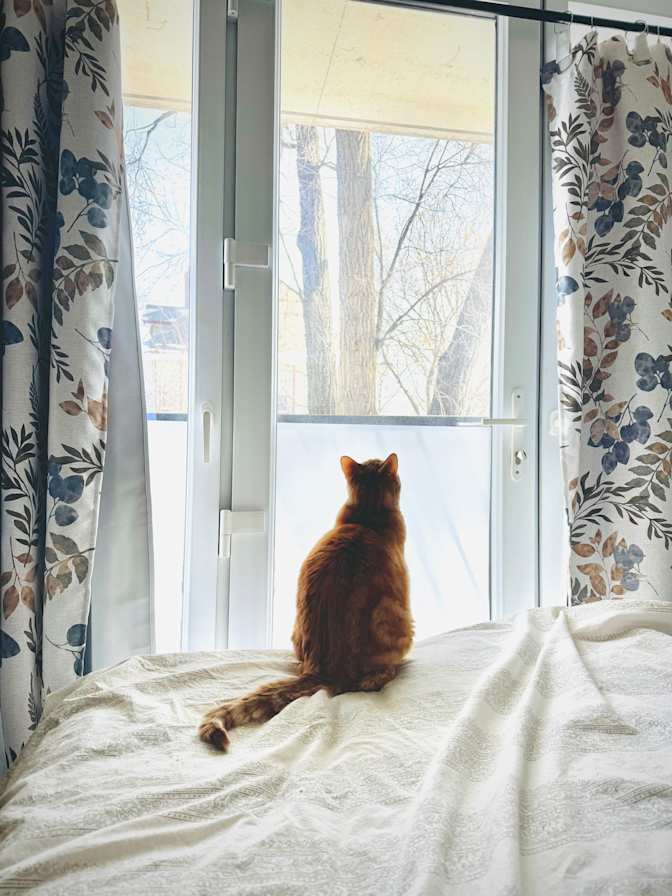 Julia's room