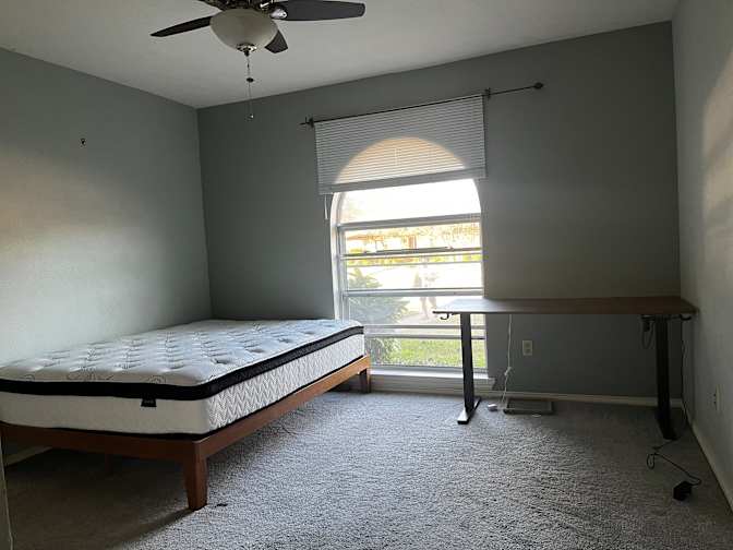 Cat's room