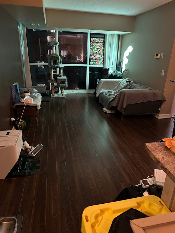 Anh Nguyen's room