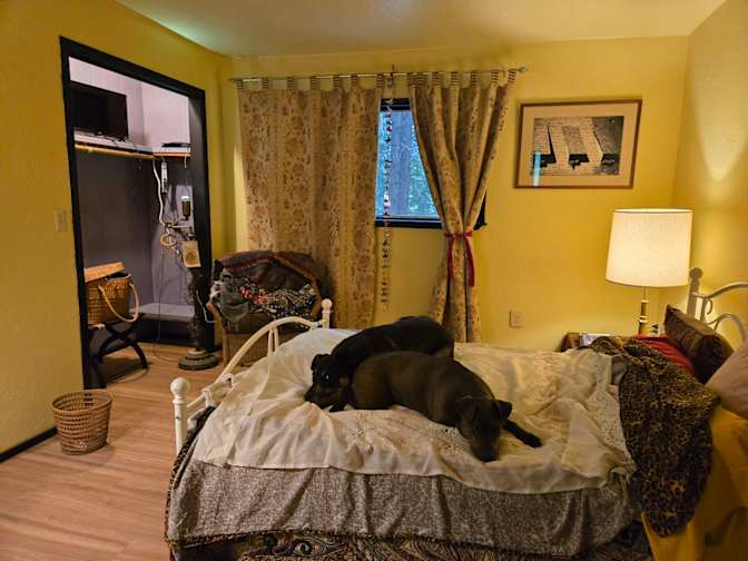 Jenny's room
