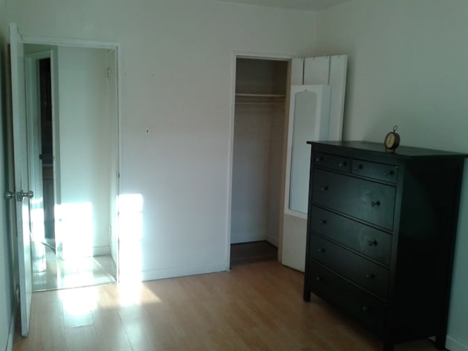 Shawn's room