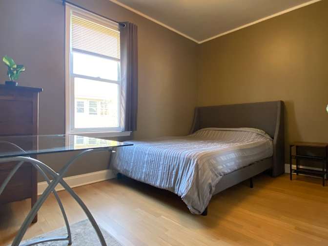 Tabby's room