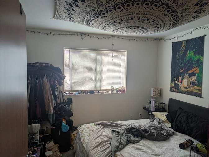 Denali Connella and Phoenix's room