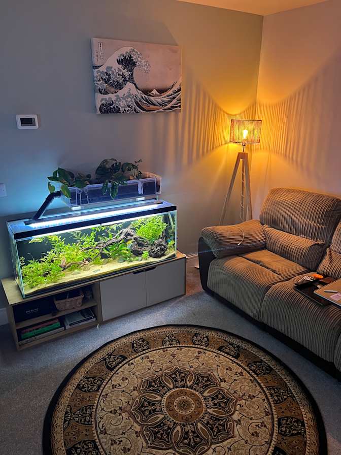 Remy's room