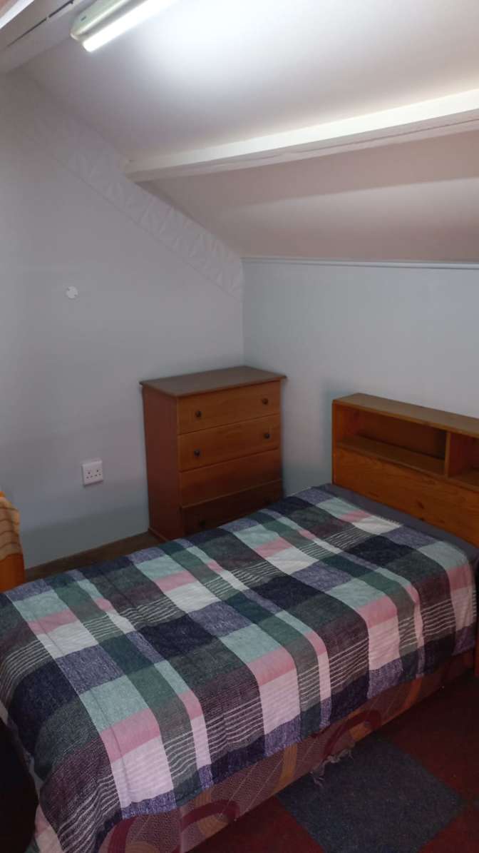 Willows on Bartlett's room