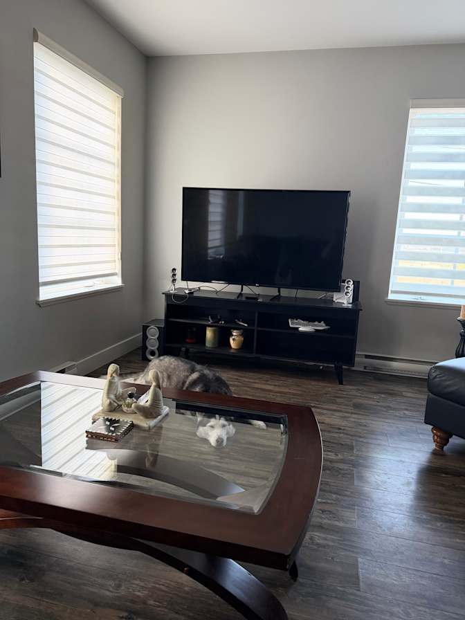 Michelle Cerminara's room