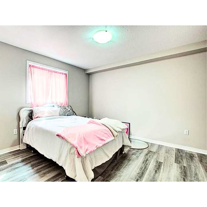 Rachelle's room