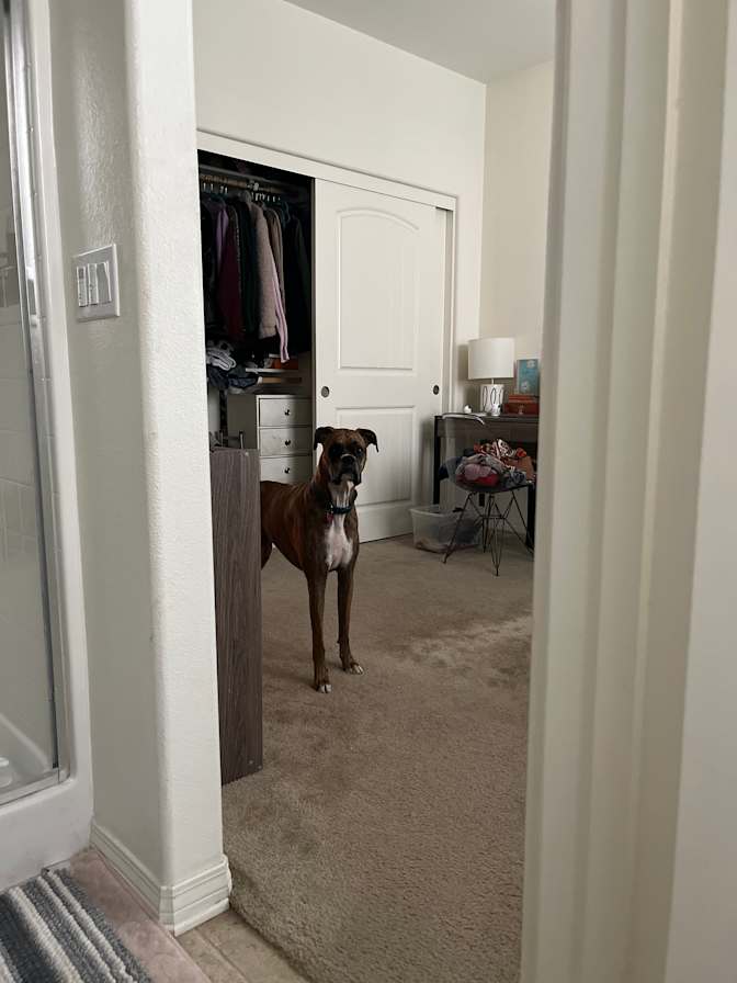 Domonique's room